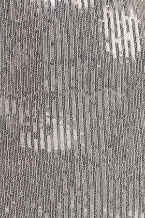 Blaise Skirt – Silver