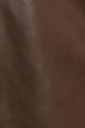 Haelee Faux Leather Skirt – Brown