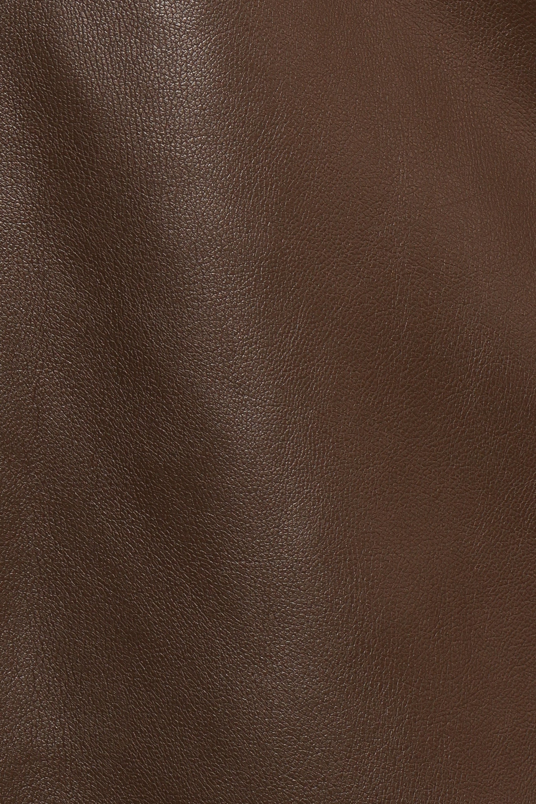 HaeleeFauxLeatherSkirt-Brown-5