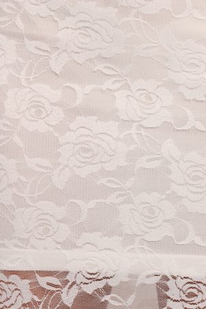 Laken Sheer Lace Maxi Skirt – White