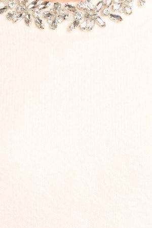 Orlana Embellished Neck Short Sleeve Sweater – Cream