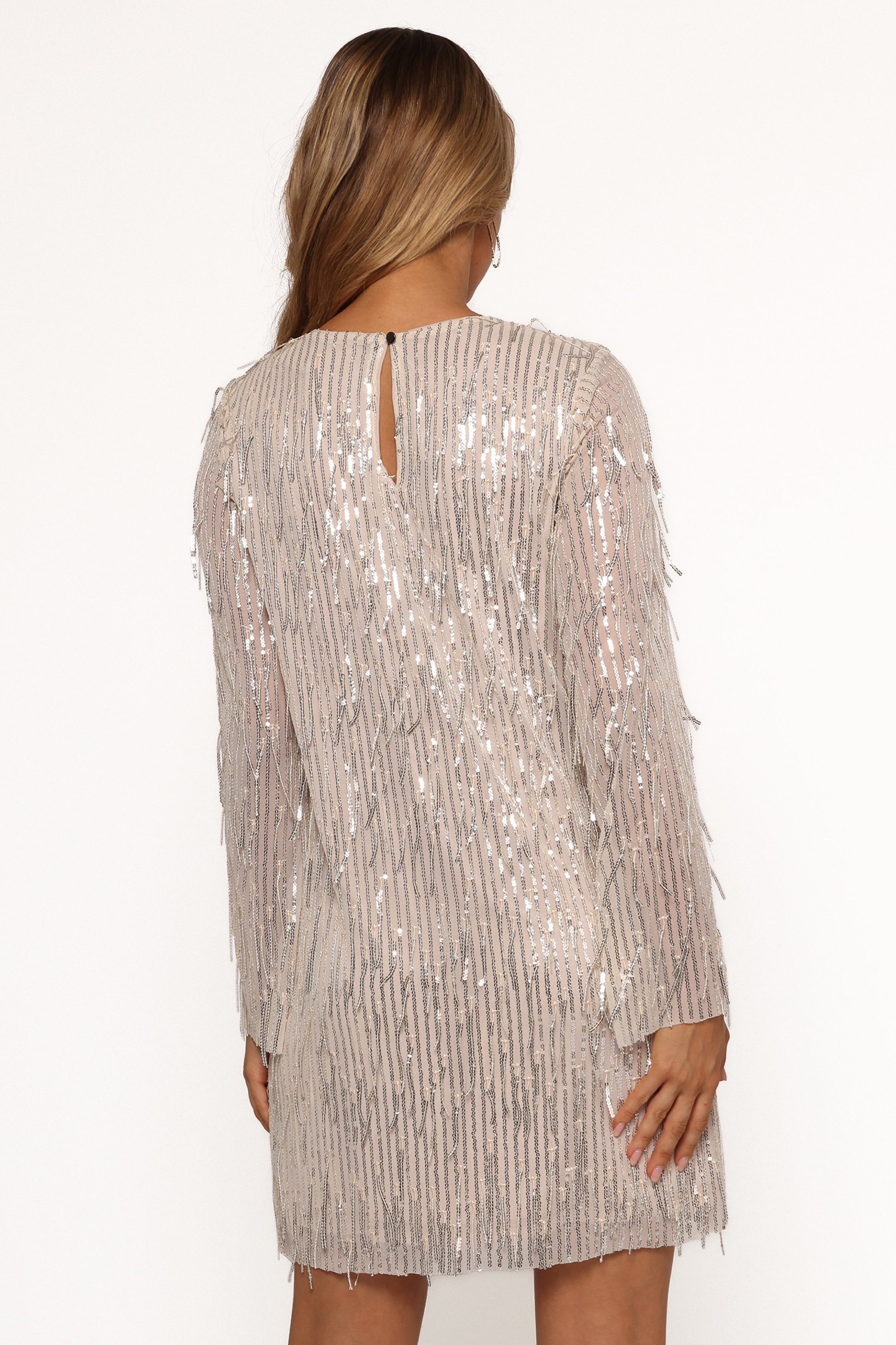 SerenaSequinMiniDress-NudeSilver8-7