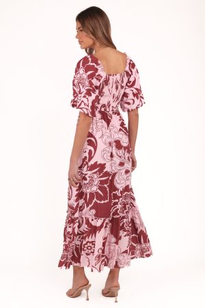 Shanae Maxi Dress – Pink Brown Paisley