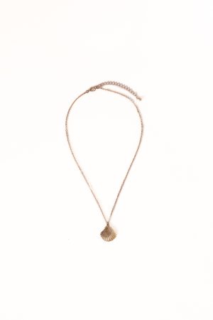 Shell Necklace – Gold