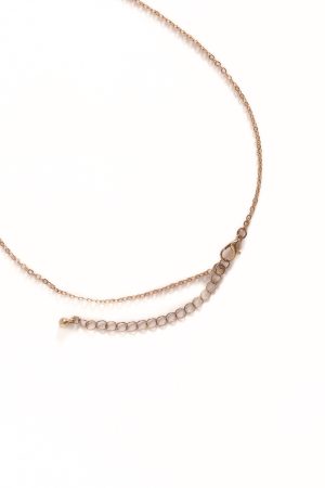 Shell Necklace – Gold