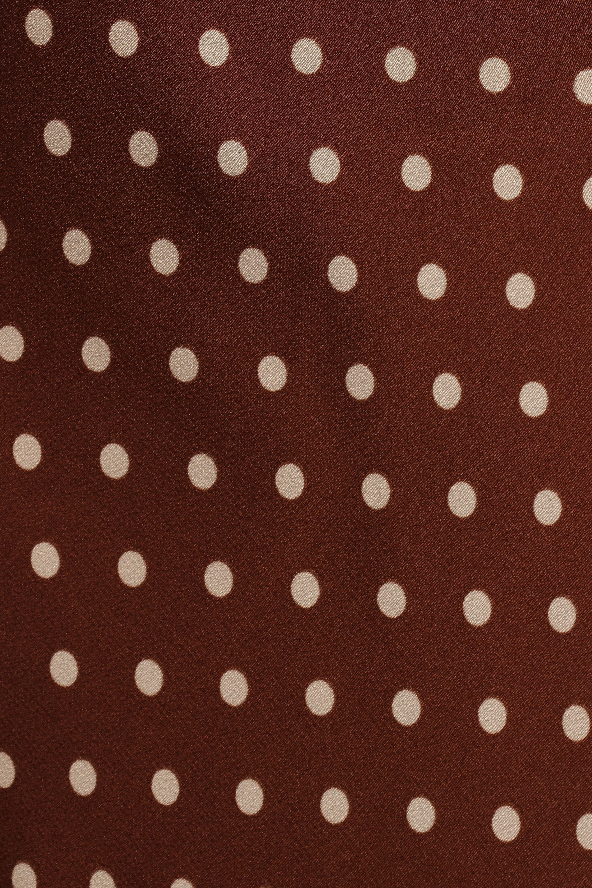 VelmanSkirt-BrownPolkaDot7_05f641ff-fc3e-4a35-924e-a48bf15a103c