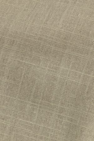 Zara Top – Sage Green