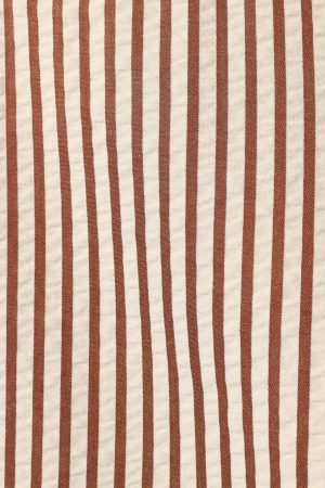Kennie Shorts – Brown Stripe
