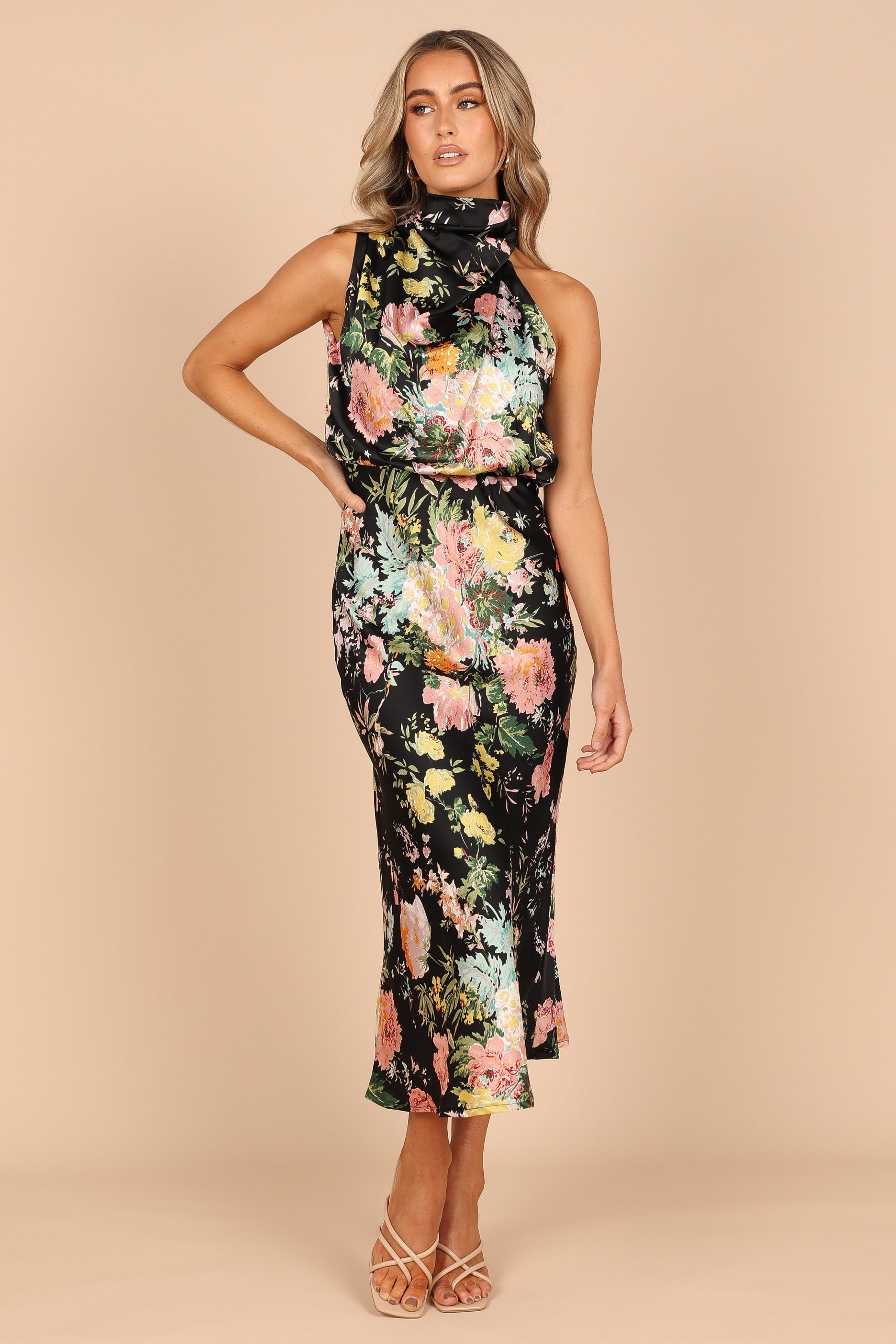 petal-and-pup-usa-dresses-anabelle-halter-neck-maxi-dress-black-floral-32627501793457-93