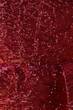 Jadore Mini Dress – Red Magenta